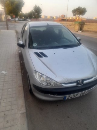 Peugeot 206 Gasolina