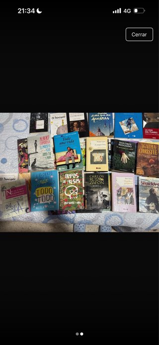 La ladrona de libros (Campaña de verano edición...