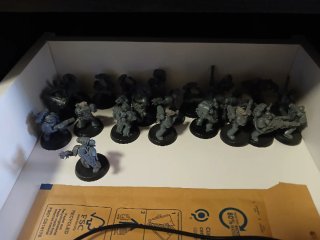 Miniaturas Warhammer 40k Lobos Espaciales