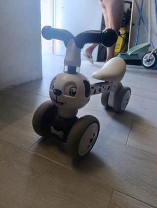Bici de aprendizaje perrito