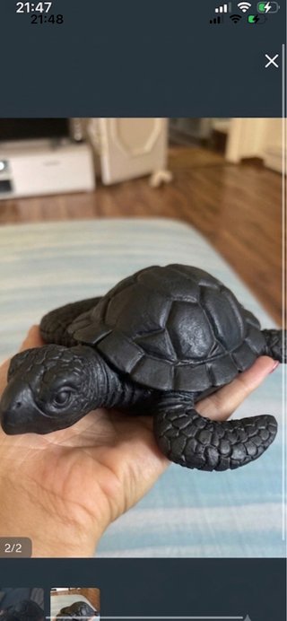 Tartaruga nera