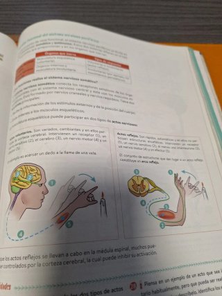 Biología y Geología 3º ESO. Libro del estudiant...