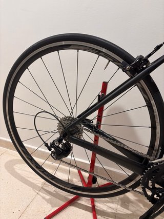Bicicleta Specialized Carbono Talla 52