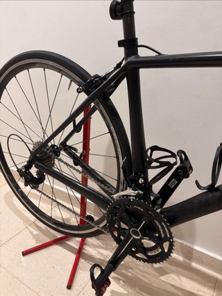 Bicicleta Specialized Carbono Talla 52