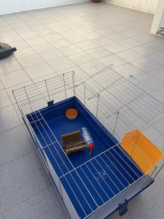Gaiola para roedores