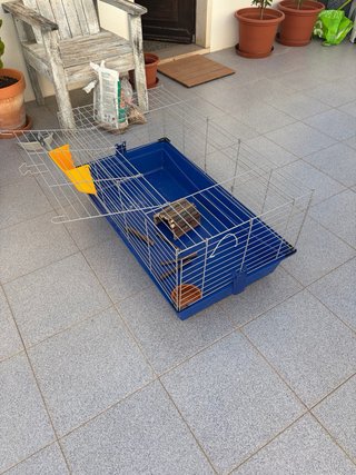 Gaiola para roedores