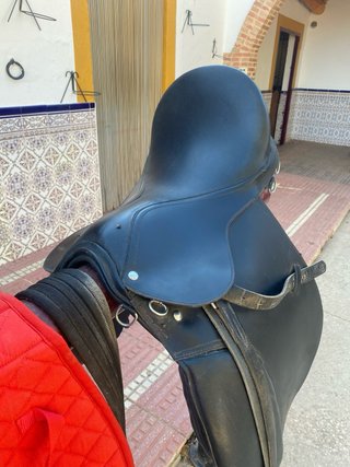 Montura inglesa negra