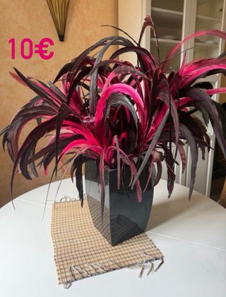 Ropa y accesorios varios