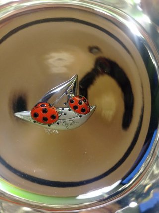Ciotolina in argento laminato con coccinelle