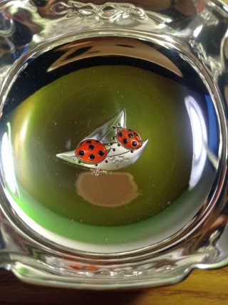 Ciotolina in argento laminato con coccinelle