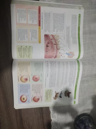 Libro de primero de bachillerato ciencias
