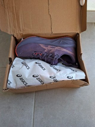 Asics Novablast 5