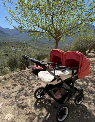 Carrito Bogaboo Donkey 5 Gemelar