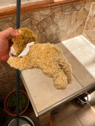 Peluche León Steiff