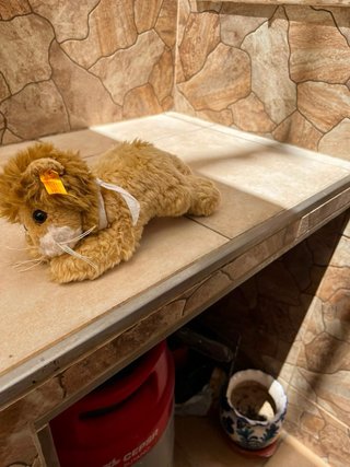 Peluche León Steiff