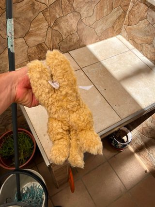 Peluche León Steiff