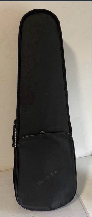 Violín 1/4 con funda, arco y almohadilla