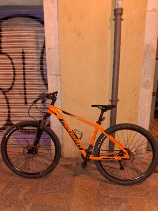 Bicicleta Megamo Natural 29