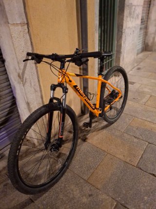 Bicicleta Megamo Natural 29