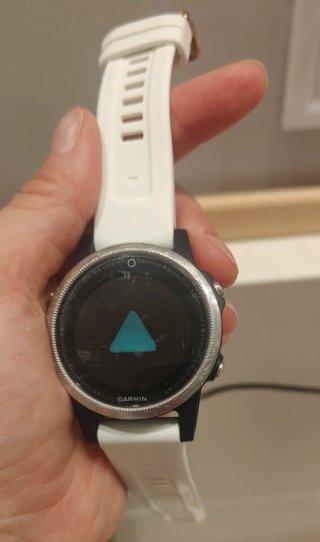 Garmin Fenix 5s Plata/Blanco