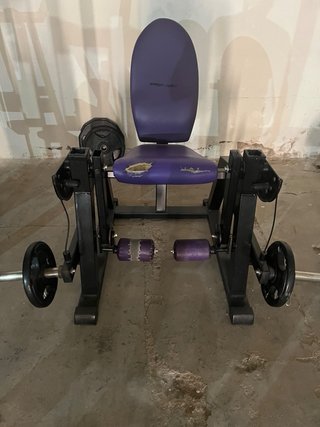 Máquina de Gimnasio Press Hombro Morado
