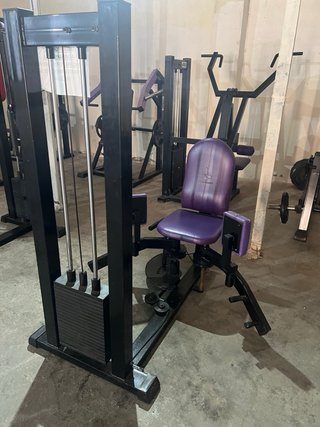 Máquina de Gimnasio Press Hombro Morado