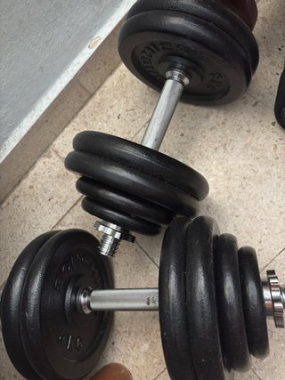 Mancuernas 30 kg (par)