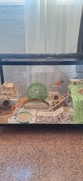 Terrario Grande Hamster/Roedores/Reptiles/cobaya