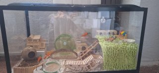 Terrario Grande Hamster/Roedores/Reptiles/cobaya