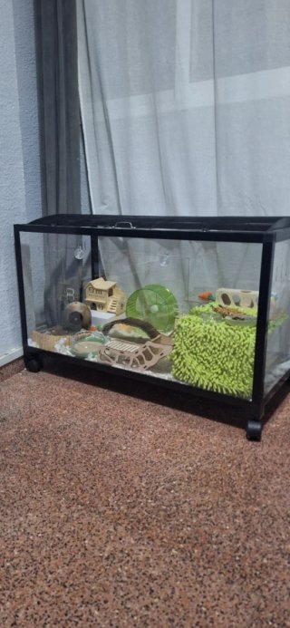 Terrario Grande Hamster/Roedores/Reptiles/cobaya