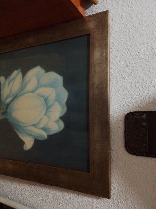 Cuadro de flor azul y marco madera