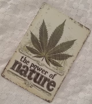 Póster Metal The Power of Nature