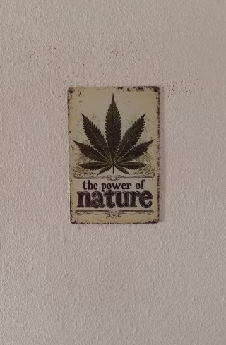 Póster Metal The Power of Nature