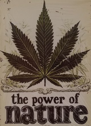 Póster Metal The Power of Nature