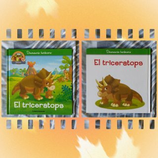 Lote libros infantiles 4-6 años