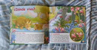 Lote libros infantiles 4-6 años