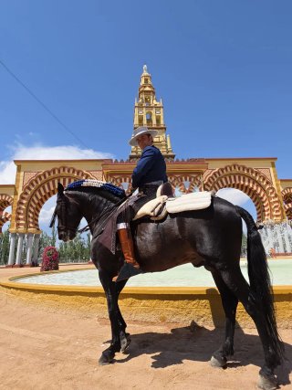 Traje de caballista azul y gris
