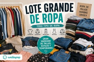Lote Ropa Mujer Talla Única Multicolor