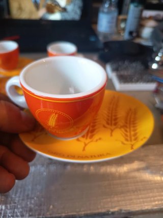 Set 6 Tazzine Caffè Nestlé Orzo