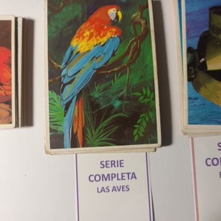 Cromos Dunkin Varias Series