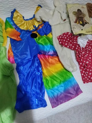 Lote Disfraces Infantiles Varios