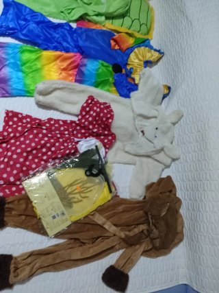 Lote Disfraces Infantiles Varios
