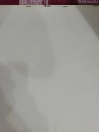Disegno unico