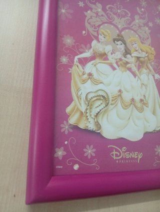 Cuadro Disney Princesas Dorado y Rosa
