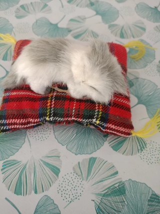 Peluche gattino dormiente su cuscino