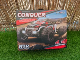 Coche RC 4x4 50km/h