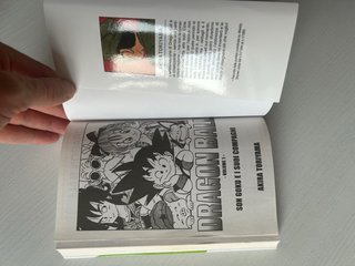 Son Goku e i suoi compagni