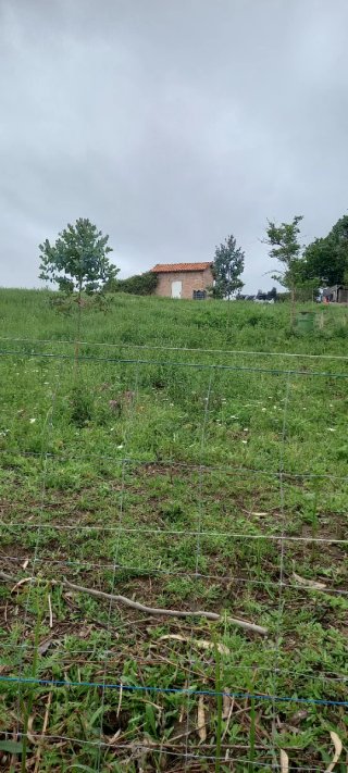 Terreno con casita de aperos alquiler mensual