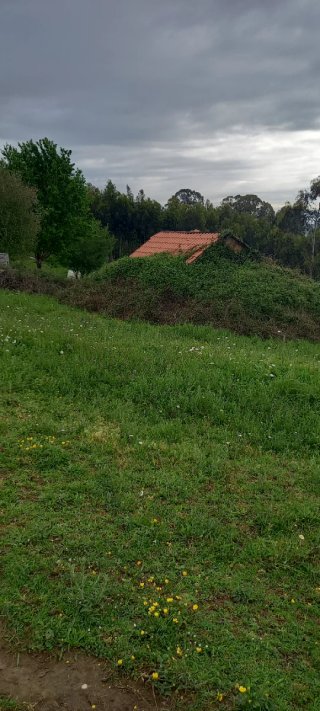 Terreno con casita de aperos alquiler mensual