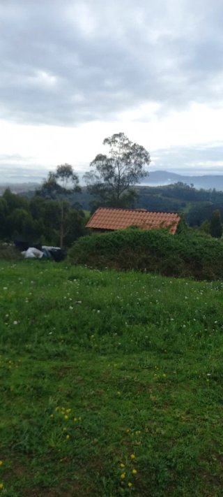 Terreno con casita de aperos alquiler mensual